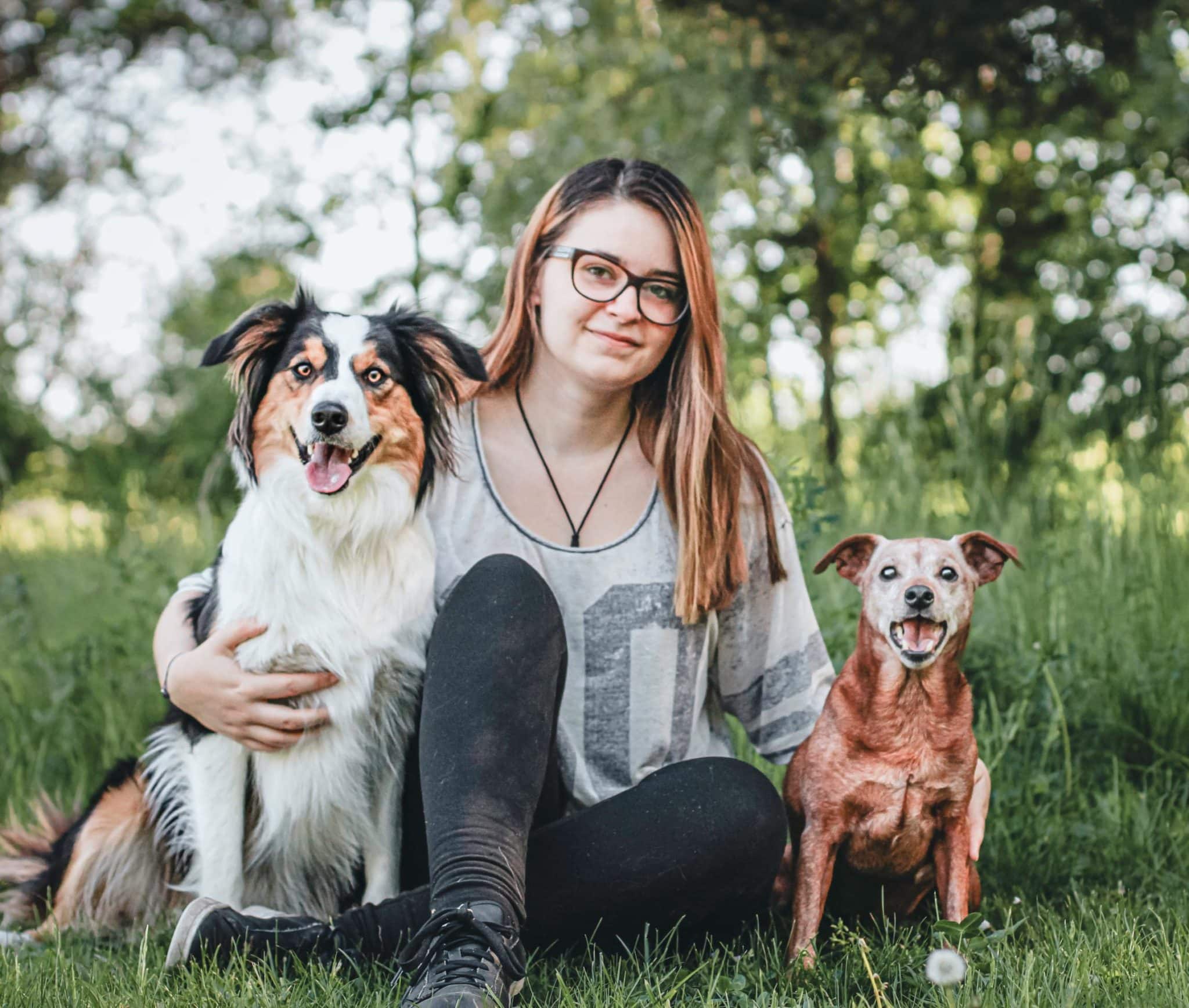 Hund vs. Wolf: Gemeinsamkeiten und Unterschiede | Tackenberg Magazin ...