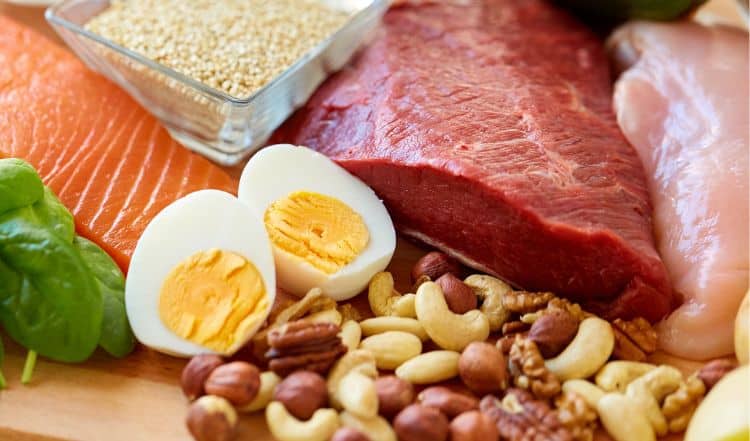 Analytische Bestandteile im Hundefutter