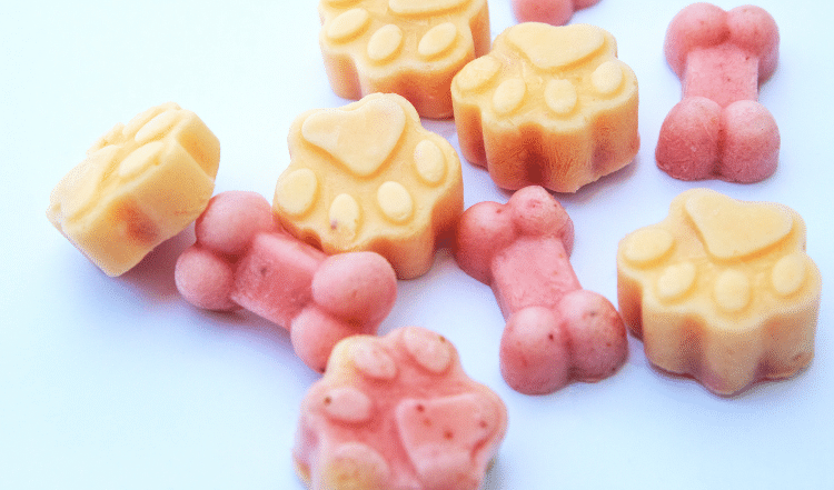 Selbstgemachtes Eis für Hunde