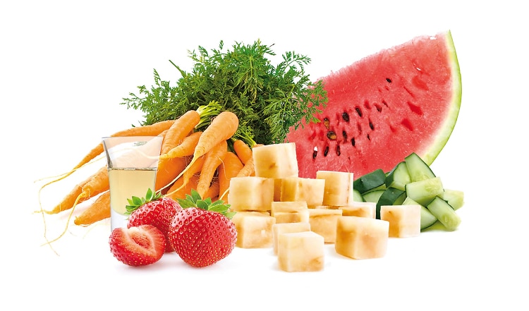 BARF Rezept Leichtes Lachs-Menü