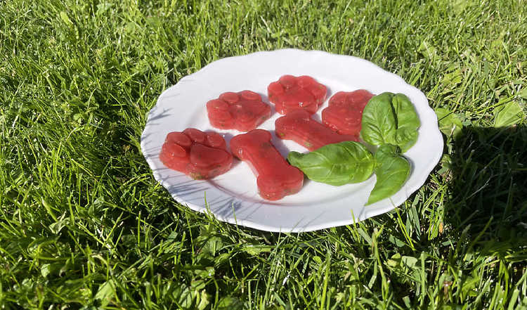 Melonen-Gelee-Happen mit Basilikum