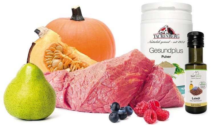 BARF Rezept für Allergiker zu Halloween