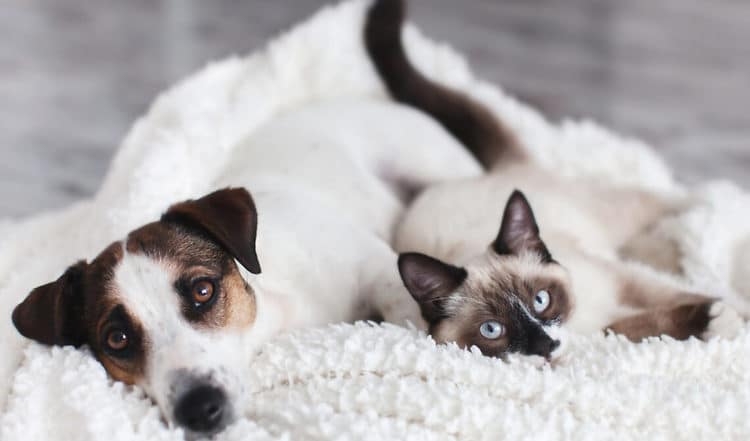 Gesund ins neue Jahr