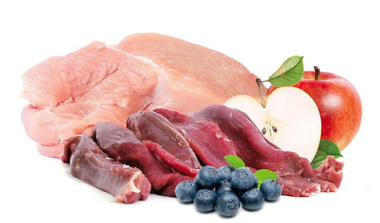 BARF Rezept mit Lamm & Truthahn an Apfel & Heidelbeeren