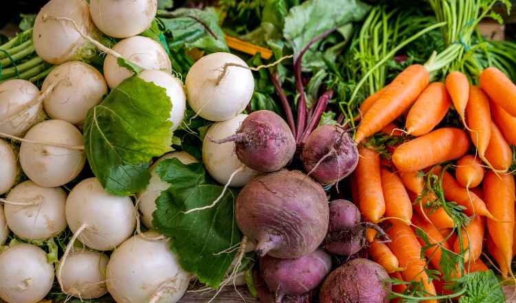 Saisonales Obst und Gemüse für Hunde im Winter