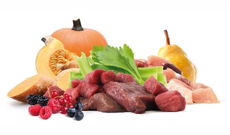 BARF Rezept zu Halloween