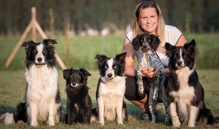 Hundetraining mit Anne Lenz: "High 5"