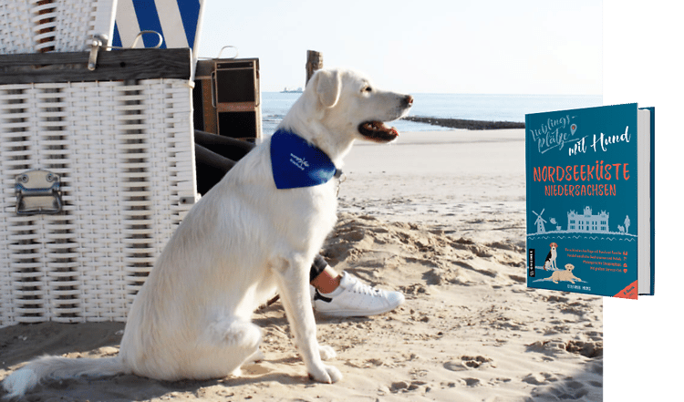 5 Lieblingsplätze mit Hund an der Nordseeküste