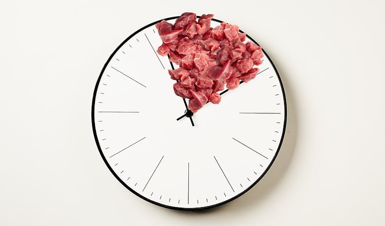 Ist Fasten für Hunde sinnvoll?