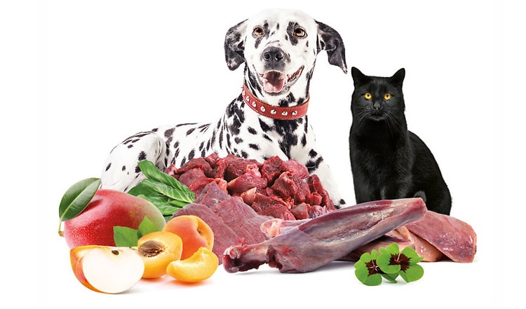 Nährstoffmangel – Ein berechtigter Einwand gegen BARF?