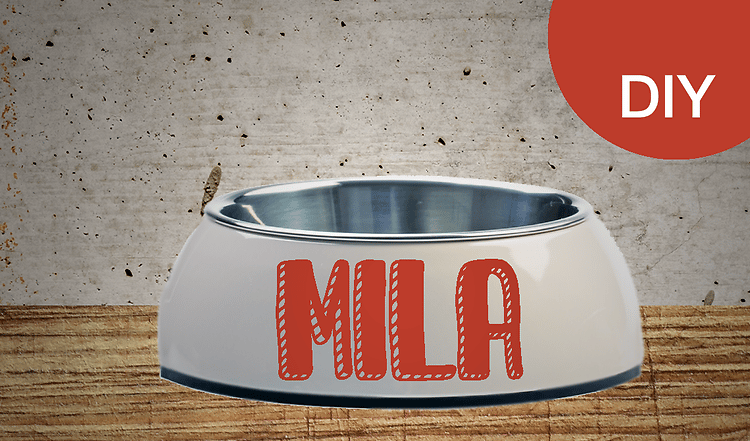 DIY: Futternapf selbst gestalten