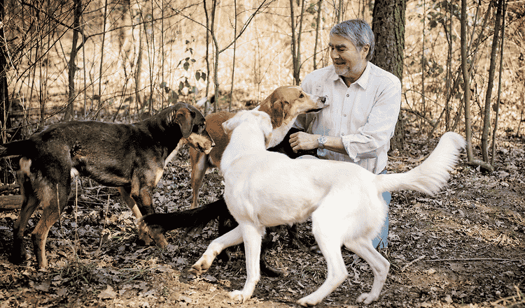 Hund und Mensch – eine Seelenverwandtschaft