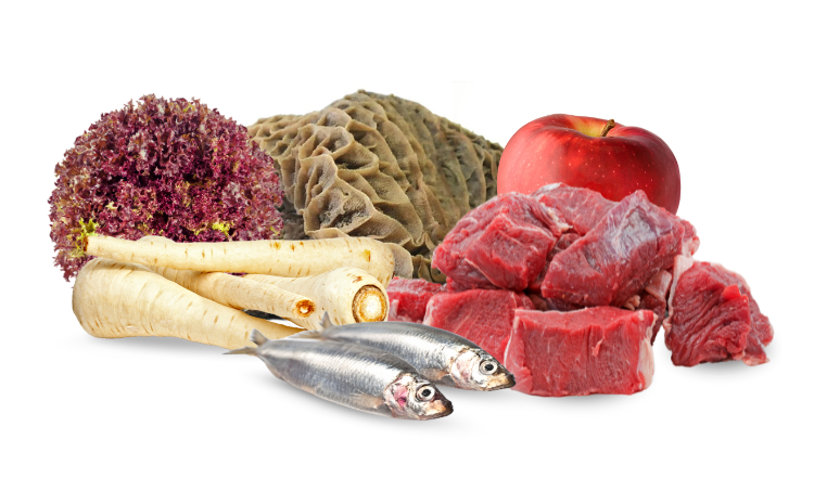 BARF Rezept Surf 'n' turf