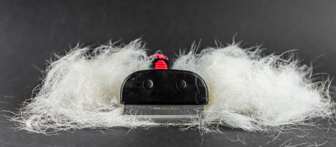 B&uuml;rste und Hundefell.