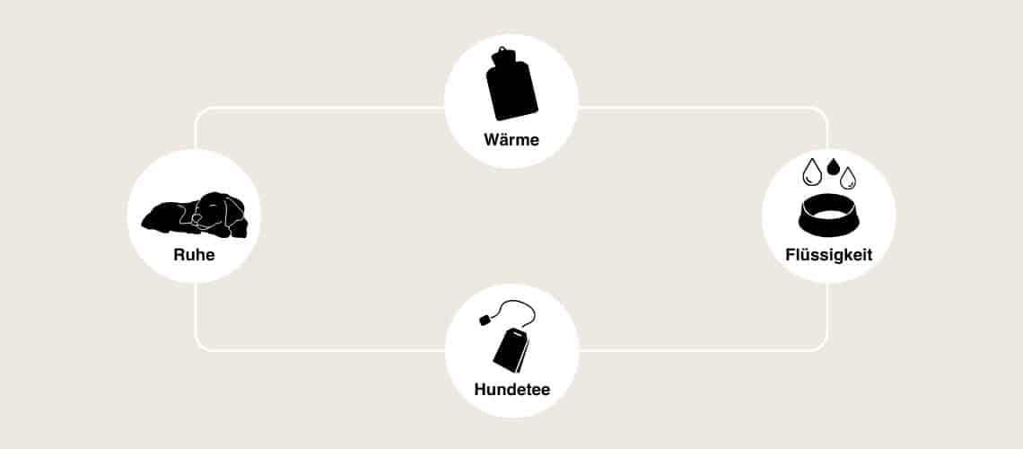 Hausmittel zur Behandlung von Blasenentz&uuml;ndungen.