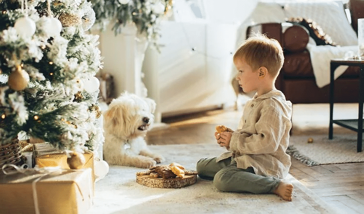 Beschäftigung für Hunde - egal ob drinnen und draußen