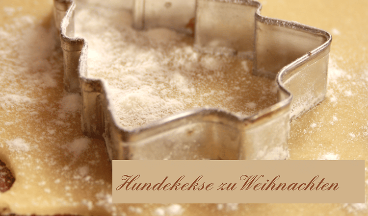 Selbstgemachte Hundekekse zu Weihnachten